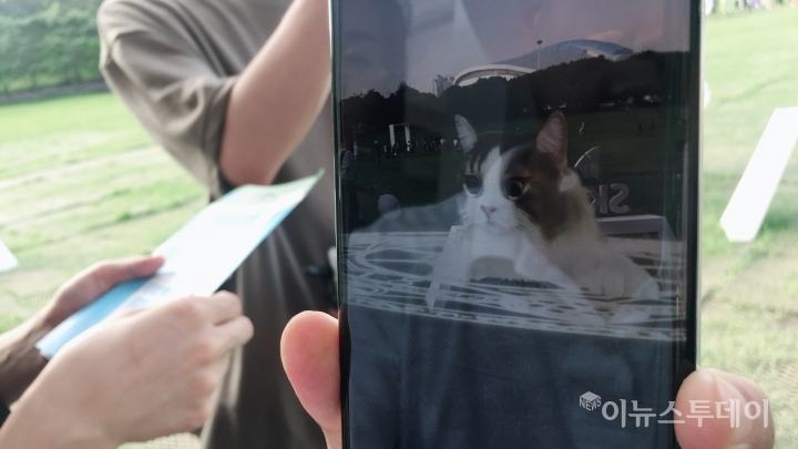 점프 AR 앱으로 자이언트 고양이를 소환했다. 야옹야옹 소리를 내며 애교를 떤다[사진=송혜리 기자]
