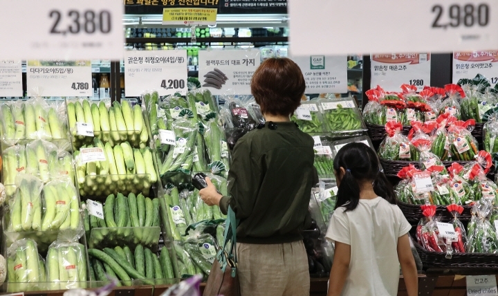 서울의 한 마트 야채 코너에서 한 시민이 야채들의 가격을 확인하며 물건을 고르고 있다. [사진=연합뉴스]