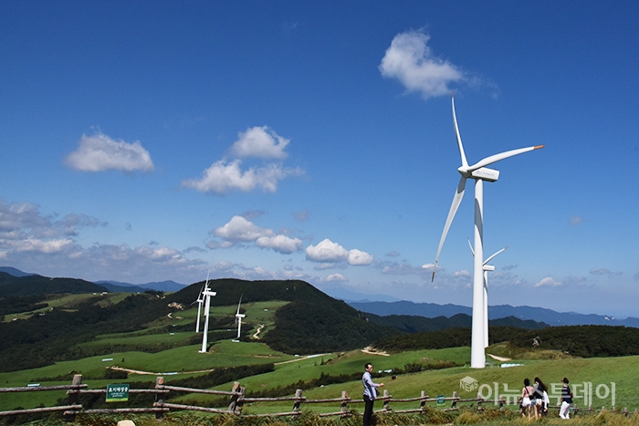 지난달 31일 해발 1140m에 위치한 강원 평창군 대관령면 삼양목장 정상 동해전망대를 찾은 관광객들이 파란 하늘아래 풍력발전기 앞에서 추억을 남기고 있다.