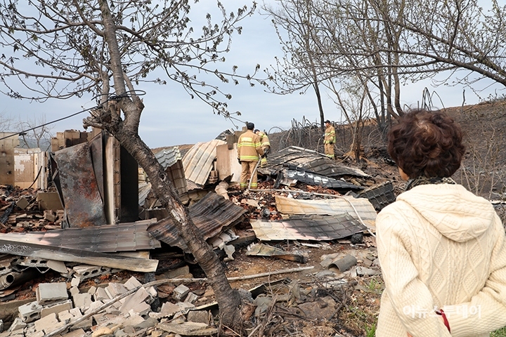 강원 강릉시 옥계면 주수리의 한 주택이 산불로 전소된 가운데 집 주인이 불탄 집을 바라보고 있다.
