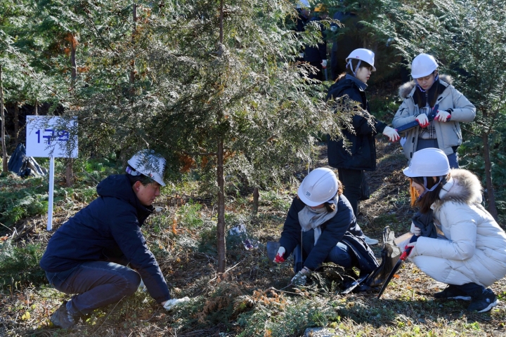산림청은 11월 한 달을 '숲가꾸기 기간'으로 정해 국민들에게 숲가꾸기의 필요성을 알리고 다양한 체험 프로그램을 운영한다고 12일 밝혔다. 사진은 비료주기 숲가꾸기 체험 모습. [사진=산림청]