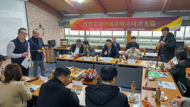 파프리카 산지방문 중국 팸투어단이 탐진들 농업회시법인을 방문해 생산 및 선별시설을 견학했다.[사진=강진군]