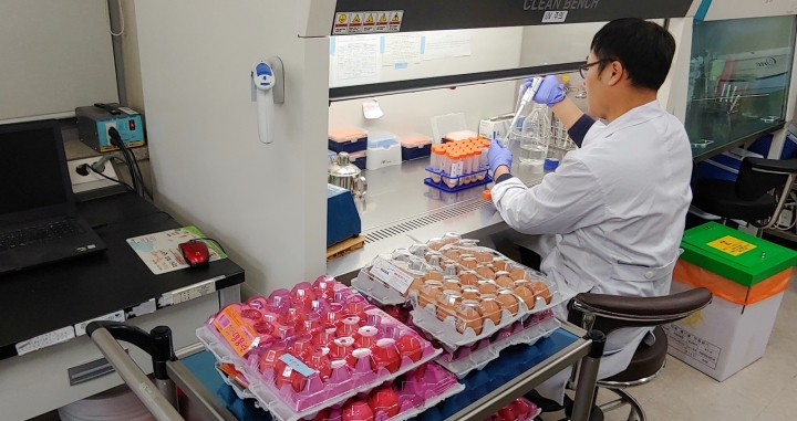 대전시 보건환경연구원은 대전지역에서 판매되는 계란에 대한 살충제·항생제 검사결과 안전한 것으로 확인됐다고 8일 밝혔다. [사진=대전시 보건환경연구원]