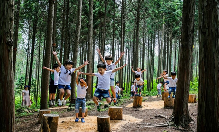 장흥 편백숲 우드랜드는 관광약자를 위한 배려가 충분한 관광지로 인정받았다.[사진=전라남도]