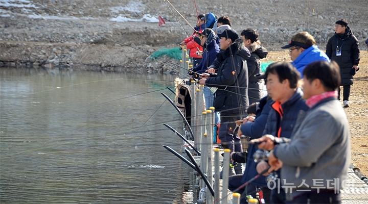 17일 홍천강 꽁꽁축제장에 방문한 관광객들이 루어낚시터에서 낚싯대를 드리우며 송어 낚시에 집중하고 있다.