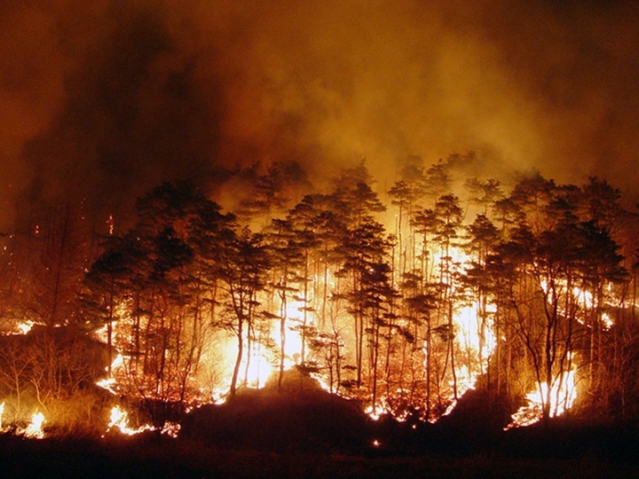 산림청은 설을 앞두고 변화하는 산불 양상에 따라 산불발생 원인별로 사전 예방활동을 강화하는 것을 골자로 하는 '2020년도 전국 산불방지 종합대책'을 발표했다. [사진=산림청]
