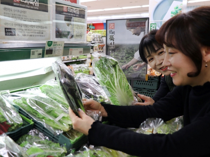 롯데마트는 지난해 8월 신선식품의 품질을 높이기 위해 전국 농·축·수산물 우수 산지 생산자들의 상품들을 '대한민국 산지뚝심'이라는 이름으로 선보였다고 25일 밝혔다. [사진=롯데마트]