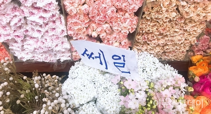 26일 고속터미널 꽃 도매시장에 꽃을 할인한다는 문구가 적혀있다. [사진=이하영 기자]