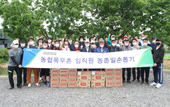 농협목우촌 임직원들이 22일 경기 남양주시 배 농가를 찾아 일손돕기를 실시했다. [사진=농협중앙회]