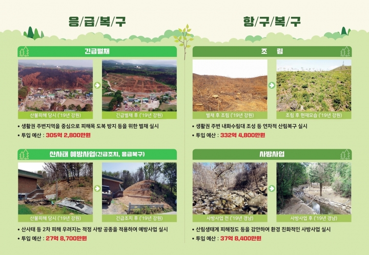 산림청은 소요복구액 700여억 원을 투입해 이번 봄 울산 울주(3월 19일), 경북 안동(4월 24일), 강원 고성(5월 1일)에서 발생한 산불 피해지역을 복구한다고 1일 밝혔다. [사진=산림청]
