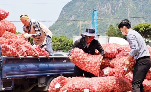 농림축산식품부가 마늘 수급안정을 위해 30억원 예산을 투입한다. [사진=연합뉴스]