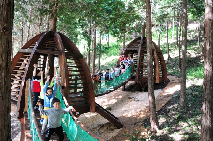 진도군이 의신면 사천리 일원 30ha의 편백숲을 산림욕장으로 조성해 개장했다. [사진=진도군]
