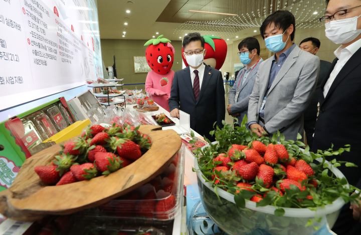 김현수 농림축산식품부 장관(가운데)이 지난해 6월 세종시 정부세종컨벤션센터에서 열린 2020년 농식품 수출 스타품목 '딸기 수출 혁신 전진대회'에 참석해 관계자의 설명을 듣고 있다. [사진=연합뉴스]
