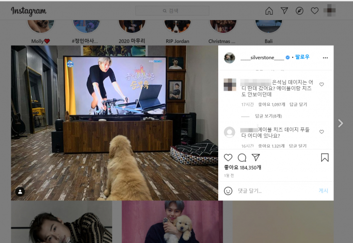 반려견 파양논란 후, 네티즌들은 박은석의 SNS 덧글을 통해 해명과 반려견묘의 소식을 물었다. [사진=박은석 SNS]