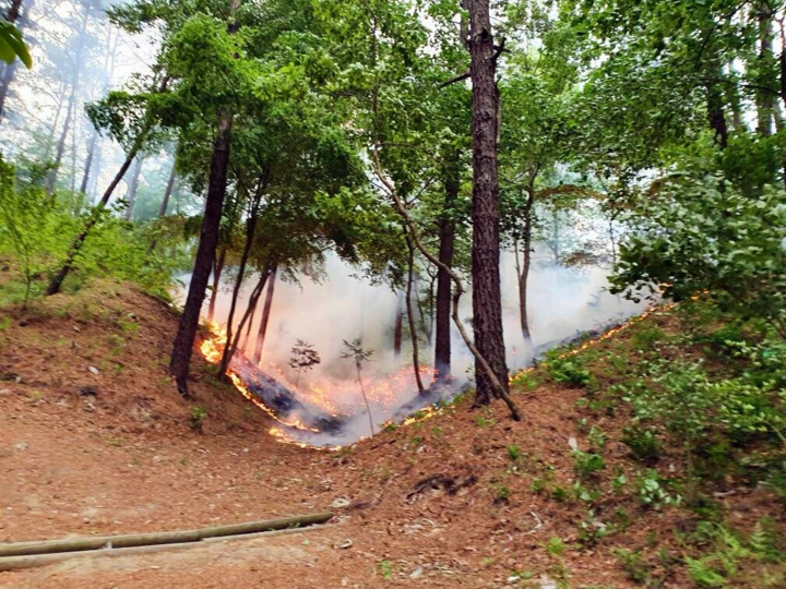 산림청 중앙산불방지대책본부는 이날 대전시 유성구 계산동 산19-1번지 일원에 발생한 산불은 40여분만에 신속히 진화를 완료했다고 9일 밝혔다. [사진=산림청]