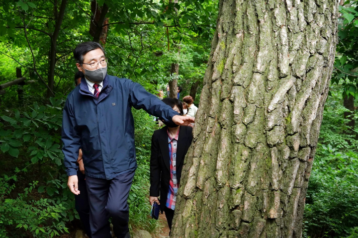 최병암 산림청장이 10일 오후 서울 남산 소나무군락지를 찾아 서울시 관계자들과 소나무 생육상태를 살펴보고 있다. [사진=산림청]