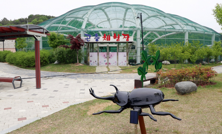 충북 영동군은 과일나라테마공원 내 있는 곤충체험장이 단장 후 새롭게 문을 열고 방문객들을 맞는다고 10일 밝혔다. [사진=영동군]