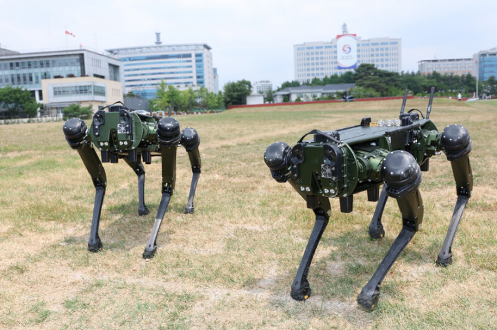 지난 6월 일반 국민에게 개방된 서울 용산공원에서 미국 G사의 로봇개가 대통령 집무실 경호용으로 시험 운용되고 있다. [사진=연합뉴스]