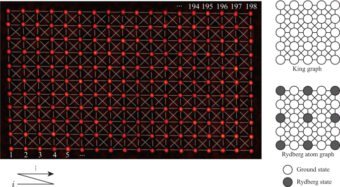 가로 18행, 세로 11열의 총 198개의 광 집게 사진이다. 각 광 집게에는 원자가 절반의 확률로 잡히며, 각 반복 측정마다 평균적으로 100개의 원자가 잡힌다. 원자들이 충분히 가깝게 붙어 있어 가장 가까운 원자와 그다음으로 가까운 대각 방향의 원자까지 연결된 킹 그래프를 이룬다. 오른쪽은 킹 그래프와 킹 그래프상에서 최대독립집합의 해를 나타낸 모식도이다. [연구 모식도-KAIST]