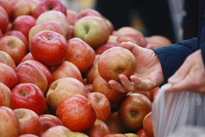 10일 서울 시내 한 대형마트에서 시민이 사과를 고르고 있다. [사진=연합뉴스]