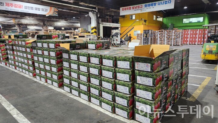 28일 가락농수산물종합도매시장 과일경매장 내부에 과일 박스가 쌓여있다. [사진=최은지 기자] 