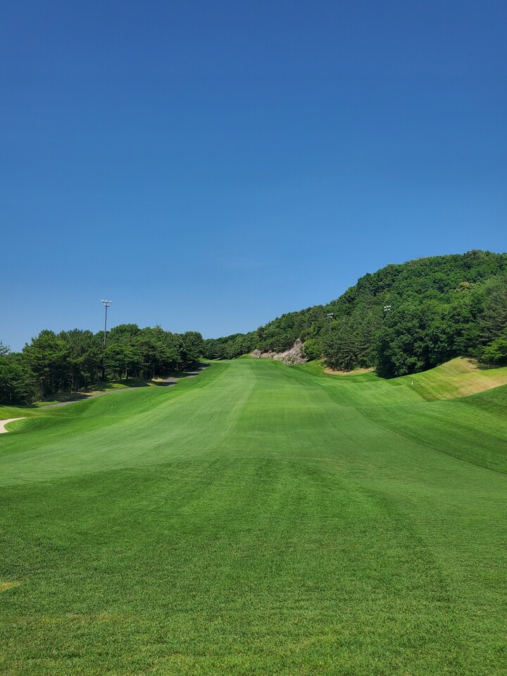 페어웨이가 좁으면 우드 티샷이 유리할 수 있다. [사진=이효선의 e골프아카데이]