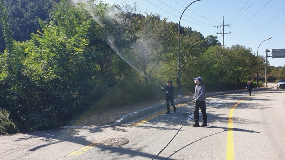 용인특례시, 산림병해충 집중 방제·예찰 활동 나서