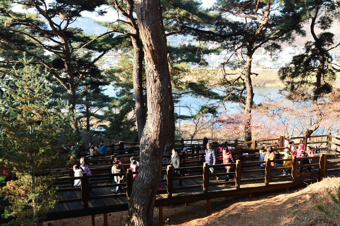 남산 나눔길 [사진=평창군]