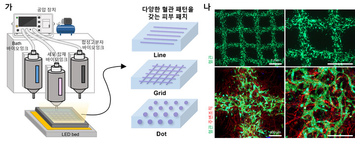 부산대 김병수 교수팀 연구 이미지[사진=부산대]