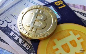 가상화폐·블록체인 업계 “일할 사람이 없다” - 뉴스 썸네일 이미지