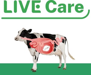 유라이크코리아, AI 기반 가축 건강관리 美 특허 확보 - 뉴스 썸네일 이미지