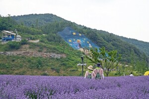 동해문화관광재단, 6월 주말엔 무릉별유천지서 동해소금길 걸어보세요 - 뉴스 썸네일 이미지