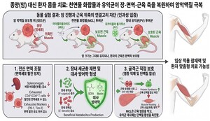 <b>암</b> 부작용 체중·근육 저하 해법 찾았다